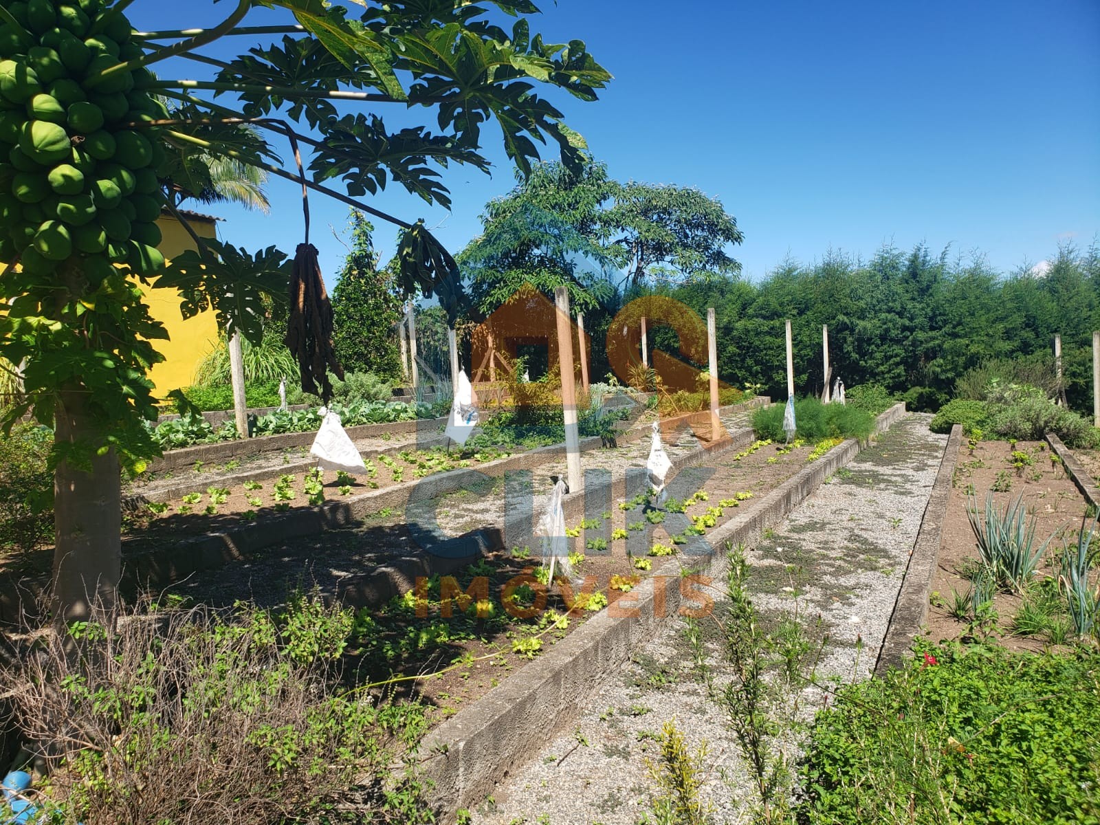 Lindo sitio em mogi das cruzes