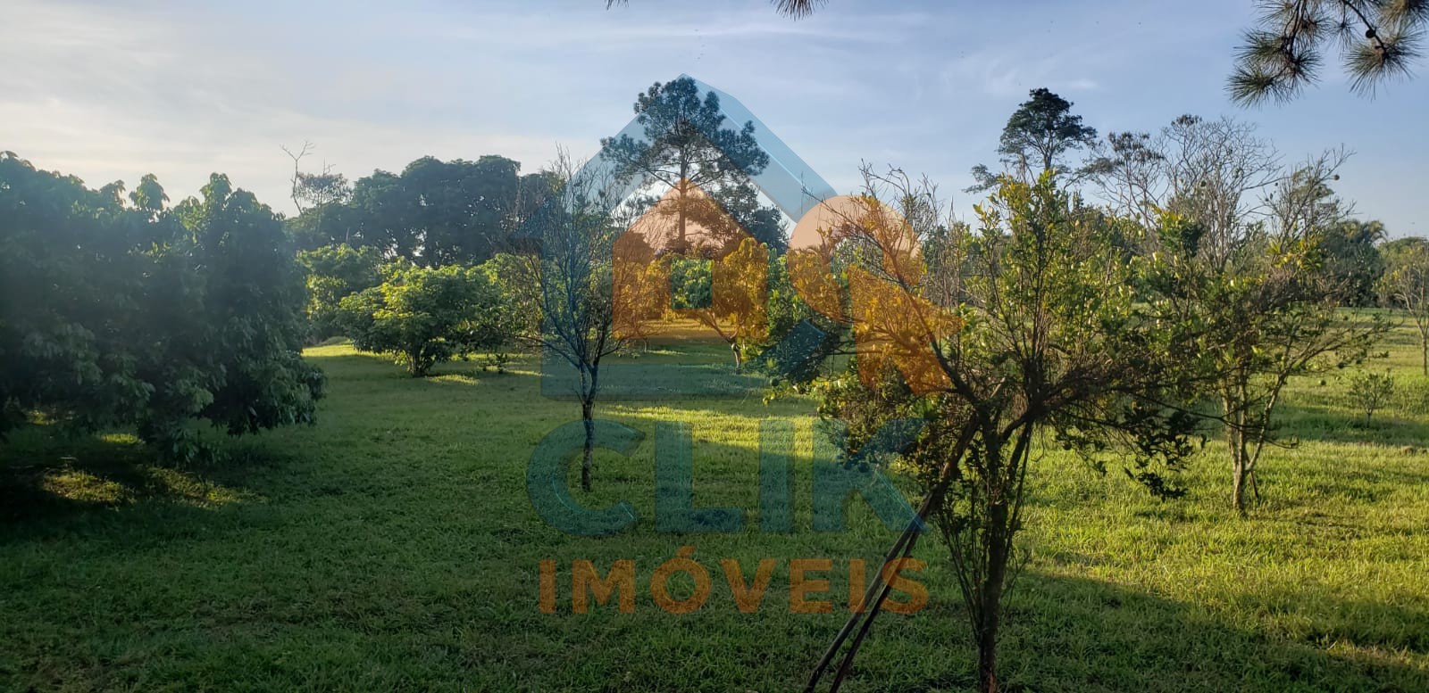 Lindo sitio em mogi das cruzes